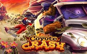 Coyote-Crash